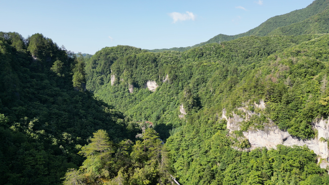 航拍祖国大好河山神农架画廊谷山谷