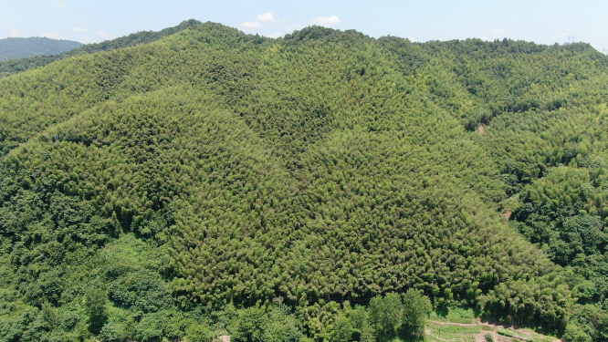 航拍祖国青山绿水河流