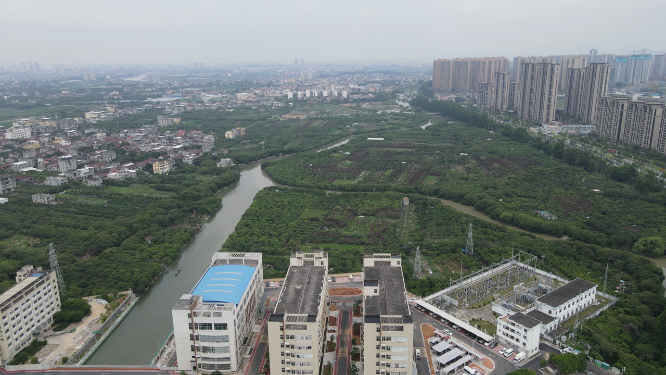 航拍福建莆田荔枝园
