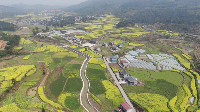航拍美丽乡村油菜花