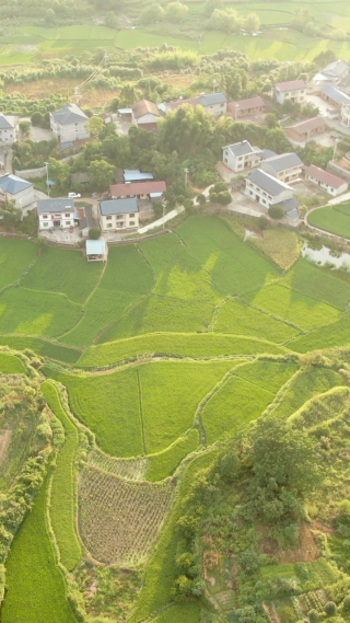 航拍美丽乡村田园