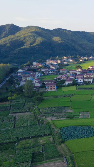 航拍美丽乡村田园农业种植