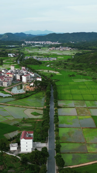 航拍美丽乡村田园风光竖屏