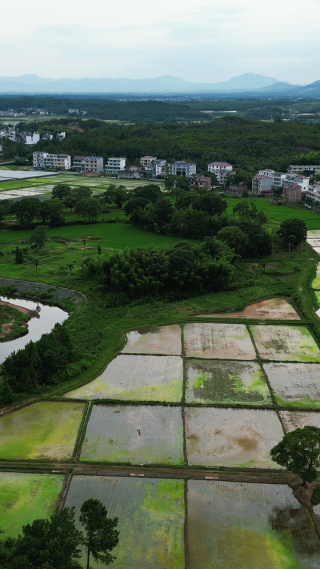 航拍美丽乡村田园风光竖屏