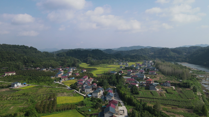 航拍美丽乡村秋收金黄稻田