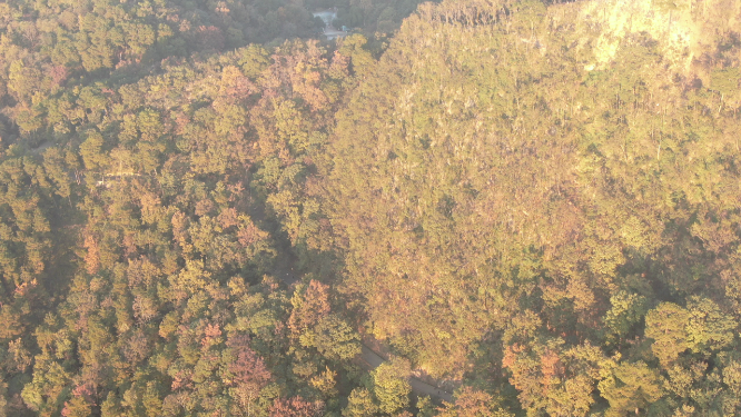 航拍贵阳黔灵山4A景区