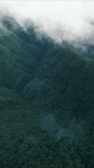 航拍高山云海自然风光
