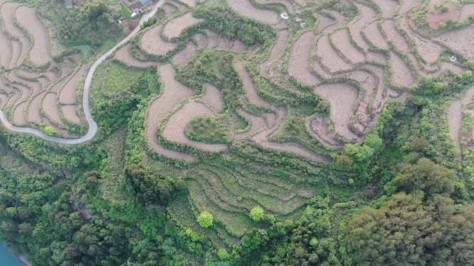 航拍高山梯田农业种植