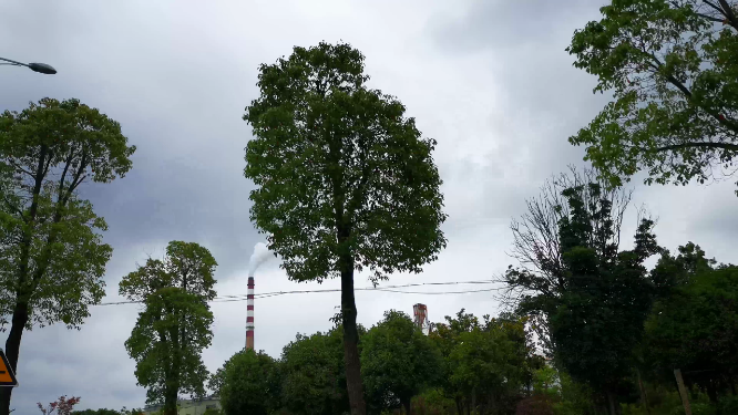 车辆行驶第一视角交通