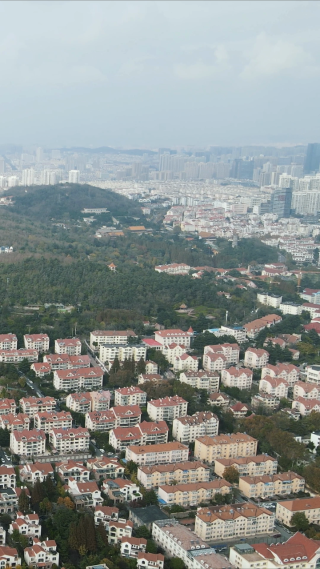 青岛中山公园竖屏航拍