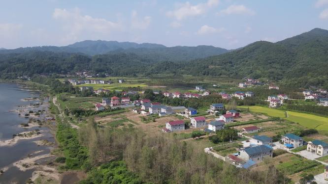 秋收金黄稻田美丽乡村航拍