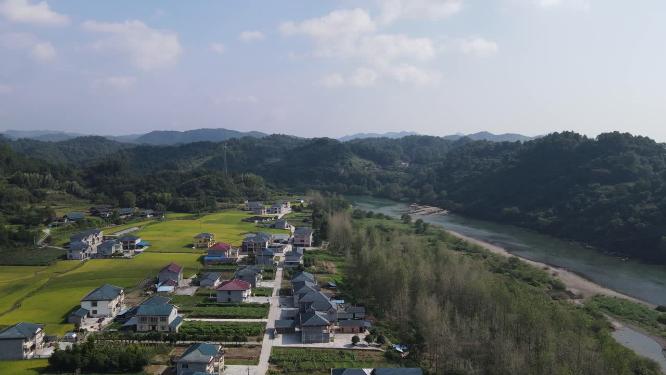 秋收金黄稻田美丽乡村航拍