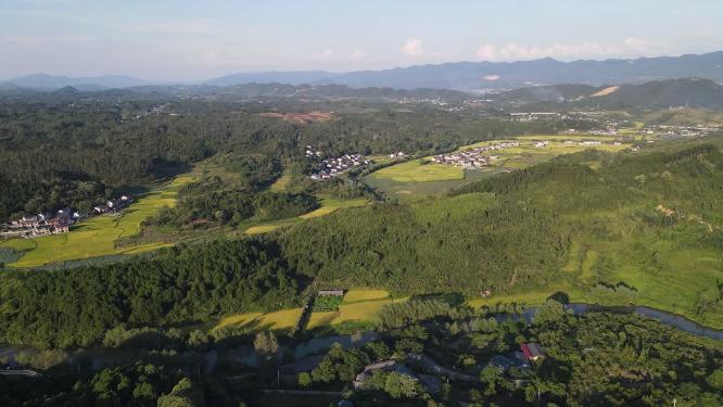 航拍美丽乡村田园金黄稻田