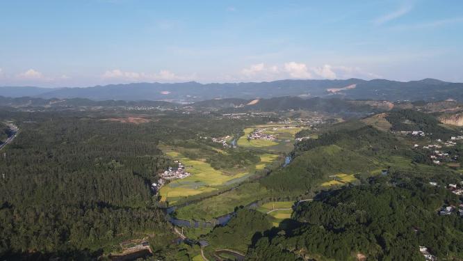 航拍美丽乡村田园金黄稻田