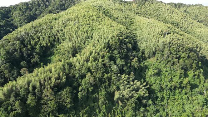 航拍大自然山川植物蓝天白云