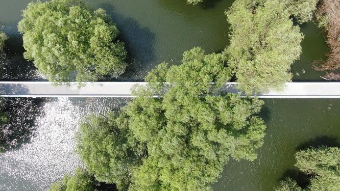 俯拍湖面唯美公路