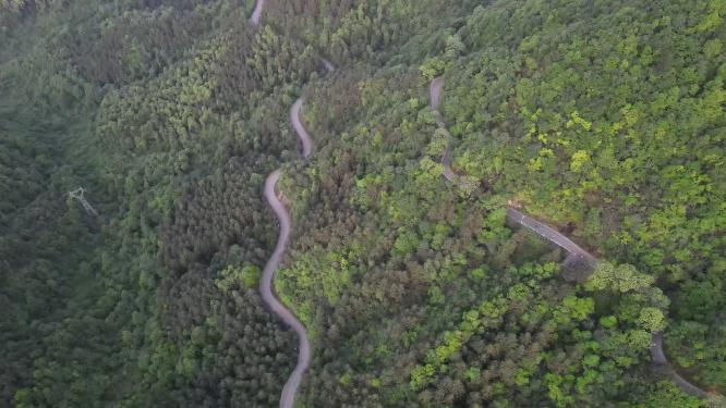 俯拍森林蜿蜒的山路