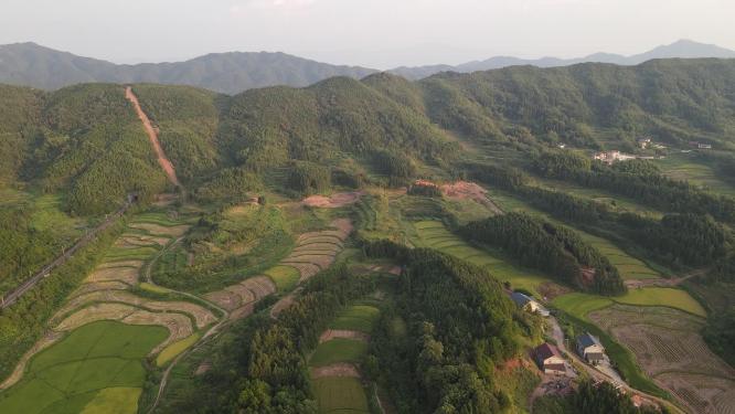 田园秋林农业种植乡村农田航拍