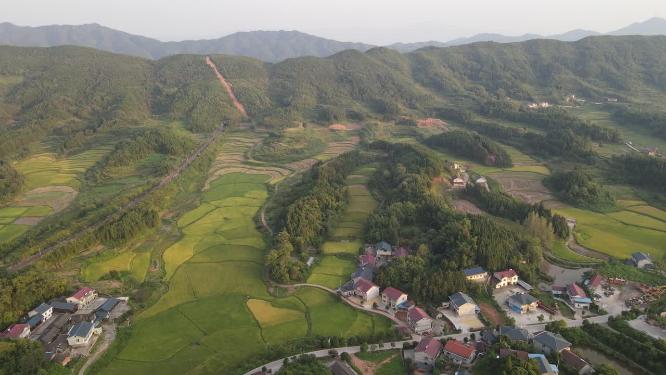 田园秋林农业种植乡村农田航拍