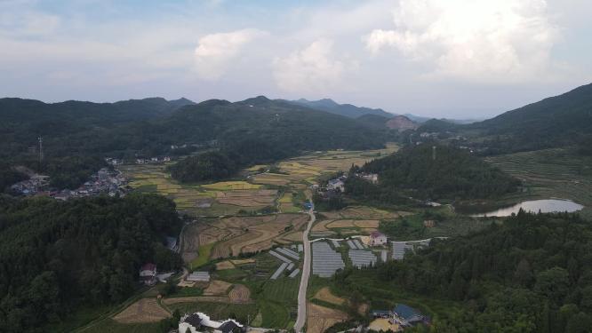 田园秋林农业种植乡村农田航拍