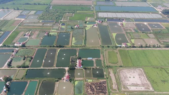 航拍洞庭湖鱼米之乡鱼塘养殖基地