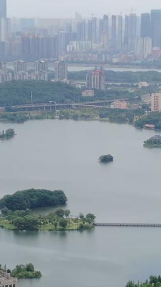 湖北武汉月湖风景区竖屏航拍