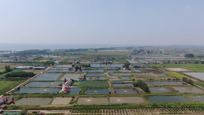 航拍绿色农业种植基地