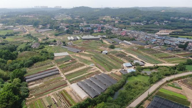 航拍花圃种植基地