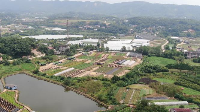 航拍花圃种植基地