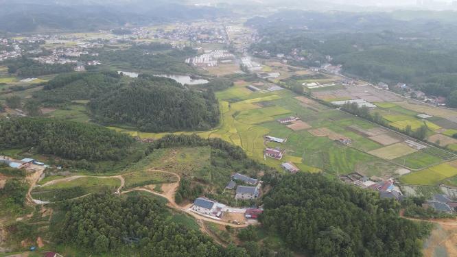 航拍秋收美丽乡村田园