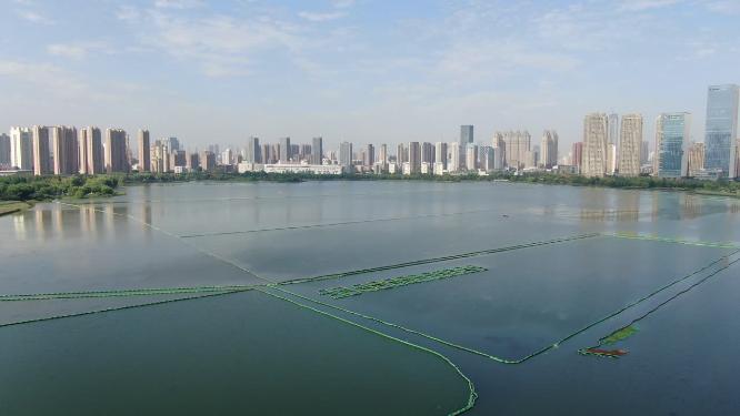 航拍湖北武汉沙湖公园
