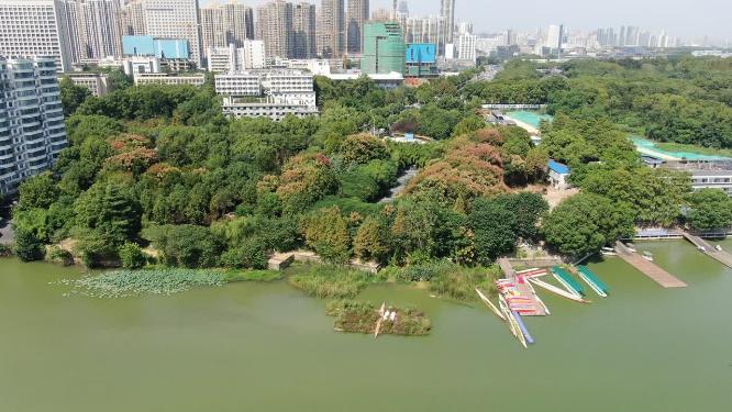 航拍城市公园湖泊