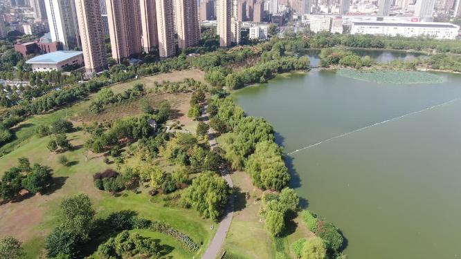 航拍湖北武汉沙湖公园