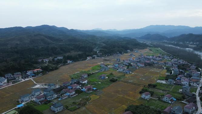 合集南方乡村田园4K航拍
