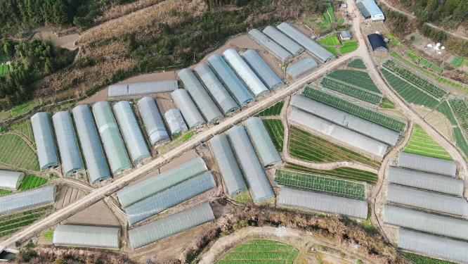 合集农业种植大棚4K航拍
