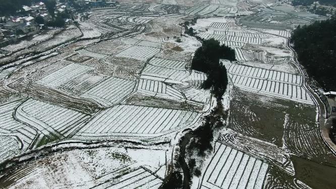 合集农田乡村冬天雪景4K航拍