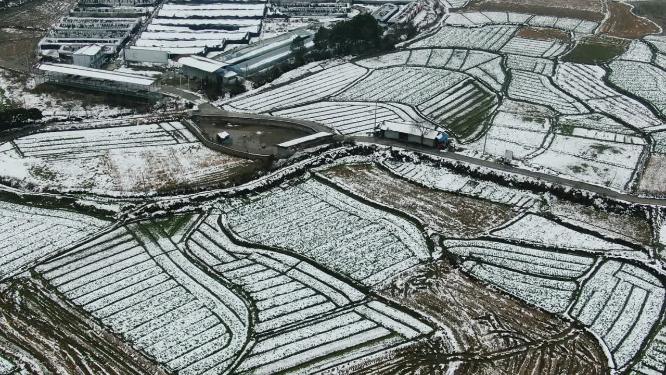 合集农田冬天雪景4K航拍