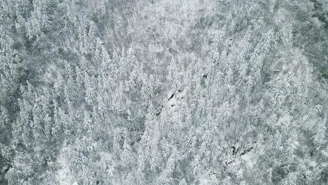 合集冬天森林雪景4K航拍