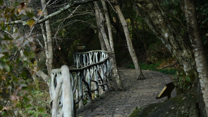 天台山石梁飞瀑石头山路