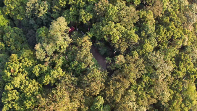 杭州吴山城隍阁景区4K航拍视频素材