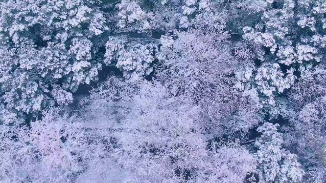 杭州吴山城隍阁景区冬天雪景4K航拍视频素材