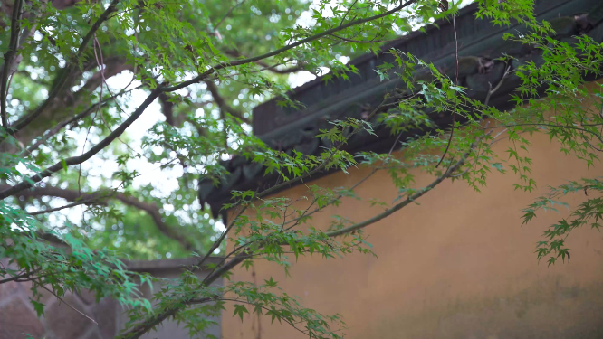 杭州宝石山智果寺旧址4K视频素材