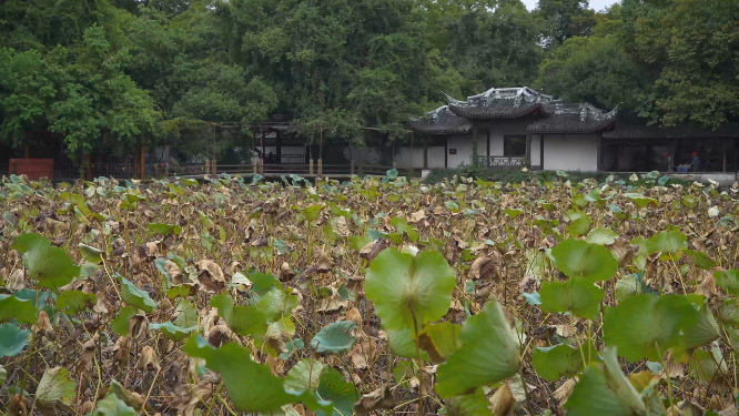南浔古镇小莲庄园林建筑4K实拍视频