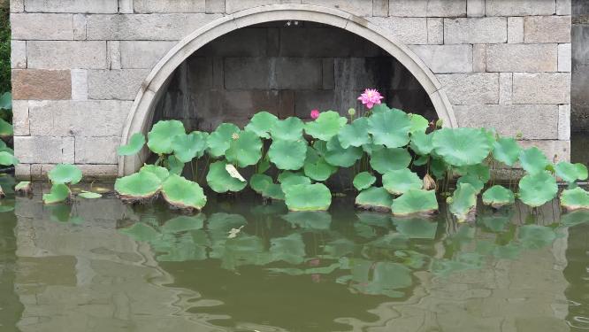 浙江嘉兴西塘古镇江南水乡风景