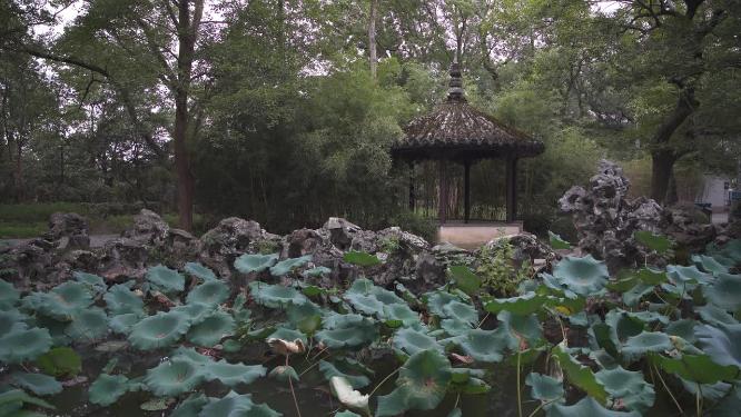 南浔古镇嘉业藏书楼建筑实拍视频