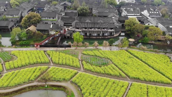 浙江嘉兴乌镇古建筑乌篷船划船航拍视频