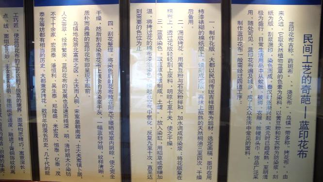 浙江嘉兴乌镇东栅水乡风景视频素材