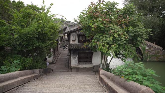 浙江嘉兴乌镇西栅酒吧一条街风景视频
