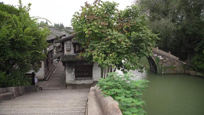 浙江嘉兴乌镇西栅酒吧一条街风景视频