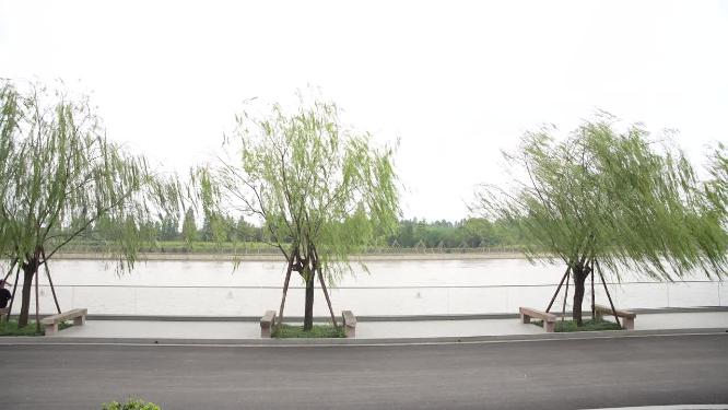 浙江嘉兴乌镇西栅白莲寺白莲塔风景视频